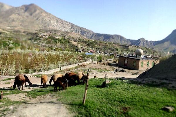 شهر بار نگین سبز خراسان رضوی میزبان فصل بهار 