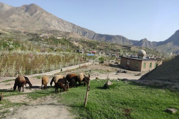 شهر بار نگین سبز خراسان رضوی میزبان فصل بهار 