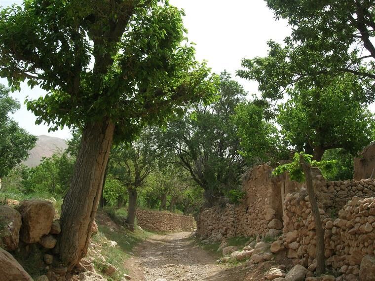 طبیعت‌گردی مسافران و مردم در باغستان کوهپایه