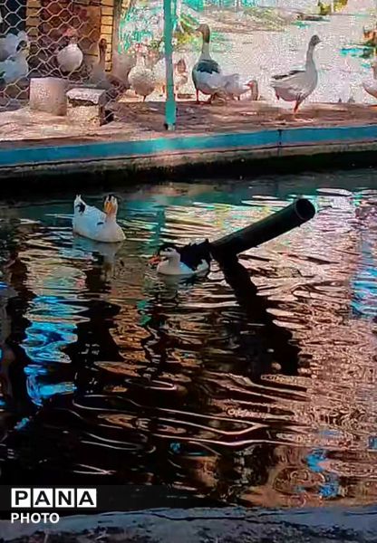 بازدید خبرنگاران پانا جلگه رخ از تربت حیدریه و آشنایی با میراث تاریخی و طبیعی 