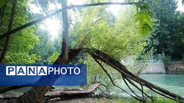 باغ بهادران؛ بهشت کوچکی در اصفهان