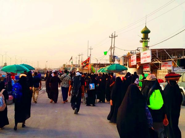 میلیون‌ها گام عاشقی؛ روایت حماسه اربعین حسینی از نجف تا کربلا