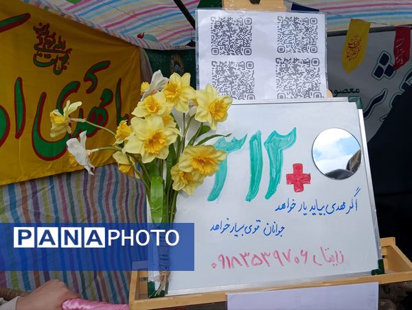 جشن کیلومتری منتظران مهدی (عج) 