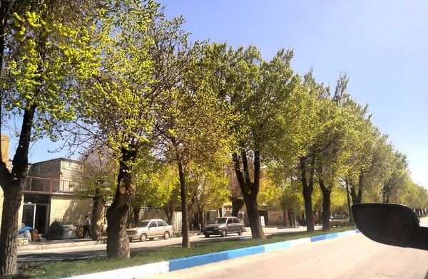 فصل بهار؛ آغاز پادشاهی سبزه و گل‌ها بر شهرستان بروجن