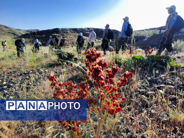 کوه‌پیمایی پیشکسوتان قم در آستانه سالگرد ارتحال حضرت امام(ره)