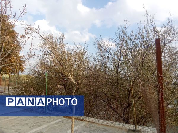 آرامگاه امامزاده سید سلطان حقیق نگین معنوی جلگه رخ 