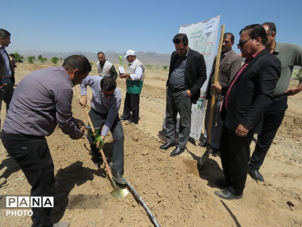 آیین "درخت سرو ایران" در شهرستان خلیل آباد 