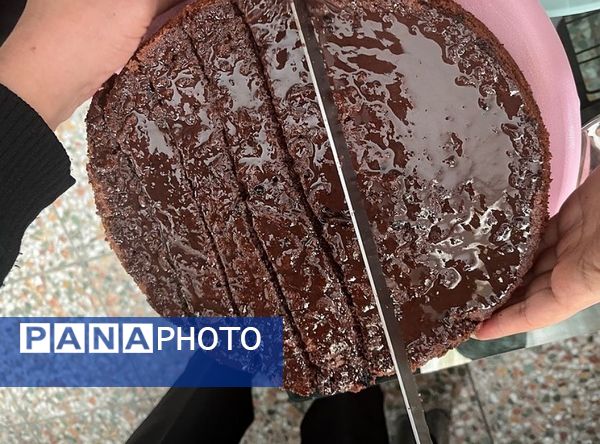 اجرای طرح سبک زندگی اسلامی، ایرانی