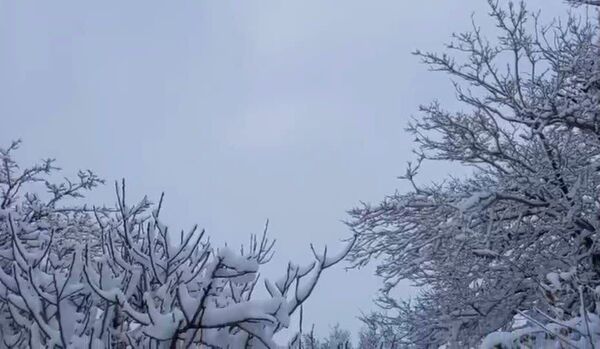 سپیدی رحمت بر جرقویه علیا