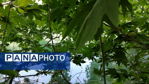 باغ بهادران؛ بهشت کوچکی در اصفهان