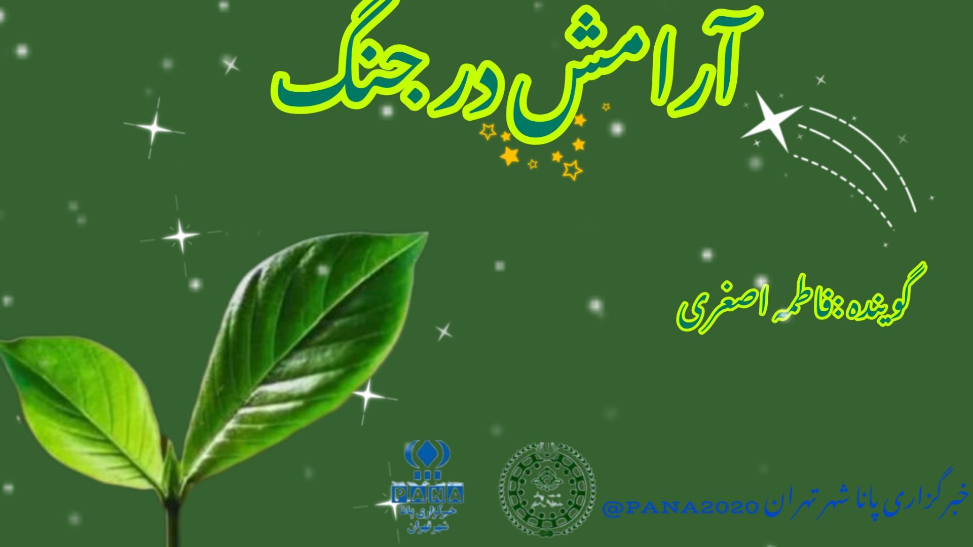 آرامش در جنگ