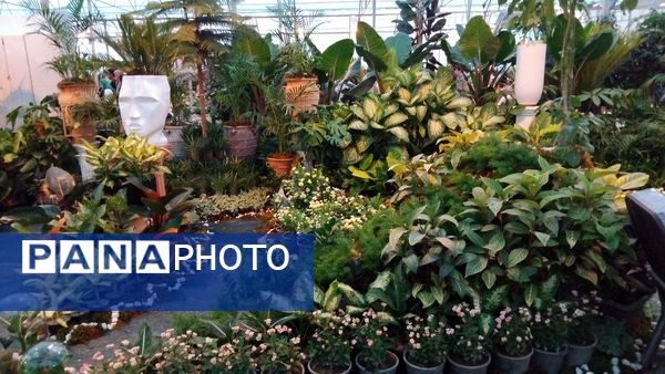 جشنواره گل‌و‌گیاه در محلات