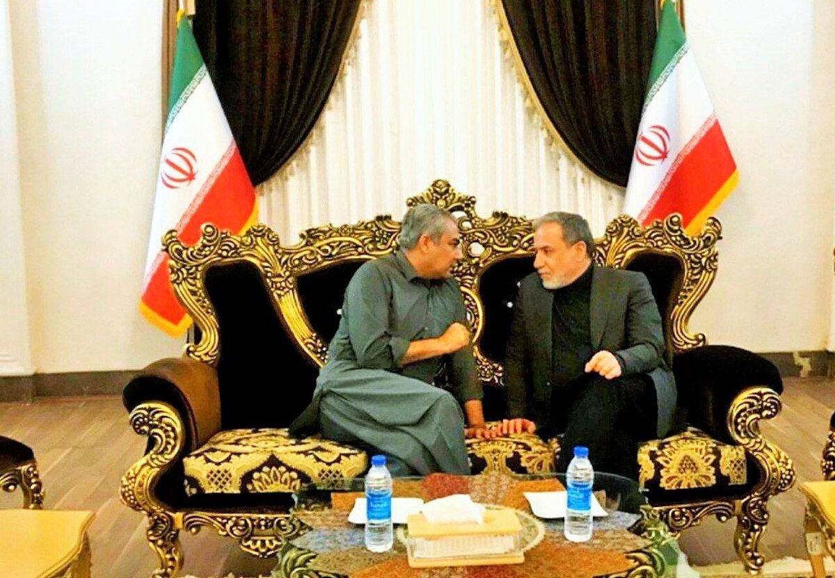 گفت‌وگوی عراقچی با وزیر کشور پاکستان در مشهد