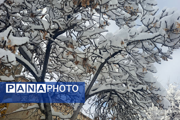 بارش برف شهرستان اقلید را سفید پوش کرد