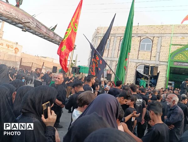 زمزمه‌ های سوگ در کوچه‌های خشتی؛ وقتی نخل چاه‌ ملکی به یاد حسین (ع) برمی‌خیزد