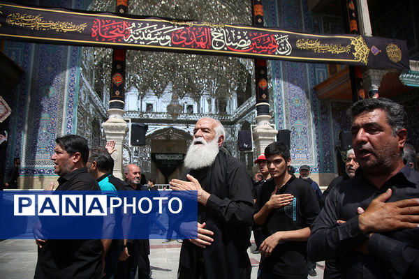 عزاداری تاسوعای حسینی(ع) در حرم حضرت معصومه(س)