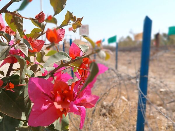 حماسه‌ای از جنس ایثار در یادمان شهید بهشتی قصر شیرین 