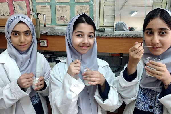 مزه شیرین علم، بستنی علمی