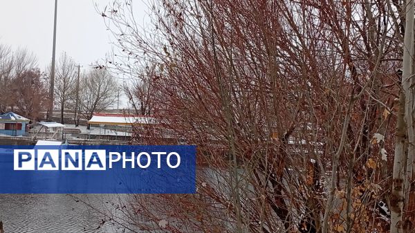 گرداب بن زیر چتر سپید برف