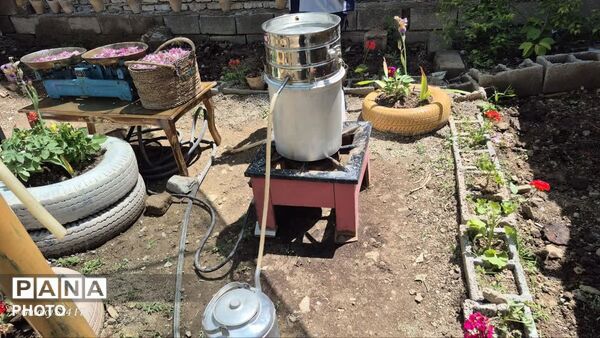  اولین جشنواره محصولات خانگی روستای سپیداران  ساوجبلاغ 