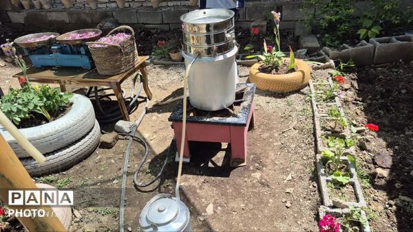  اولین جشنواره محصولات خانگی روستای سپیداران  ساوجبلاغ 