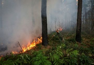 جزئیات حریق در پارک ملی گلستان