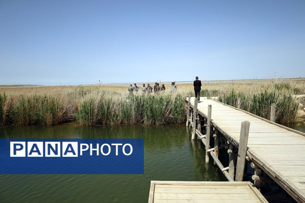 تور رسانه‌ای بازدید از تالاب‌های حوضه آبریز دریاچه ارومیه