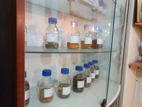 گام خبرنگاران در مسیر تنوع زیستی