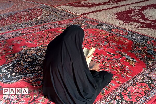 طنینِ دعای عرفه در آستانِ دوست