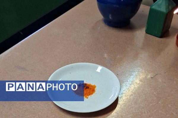 آزمایش، کشف، پژوهش؛ شیمی زنده در دبیرستان نمونه امیرالمؤمنین(ع)