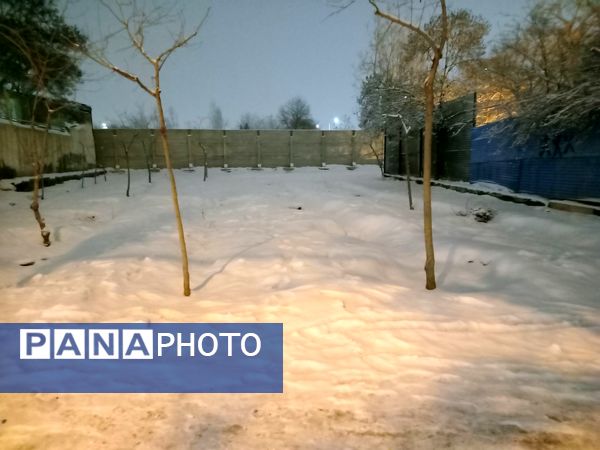 بارش برف در شهر مشهد 