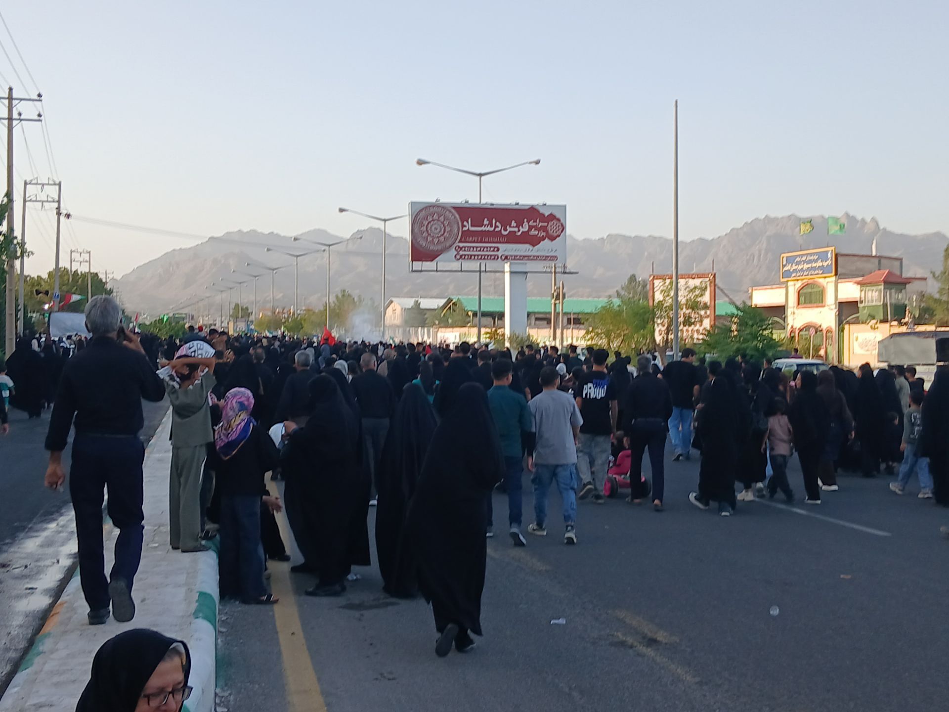 قدم هایی در راه سیدالشهدا