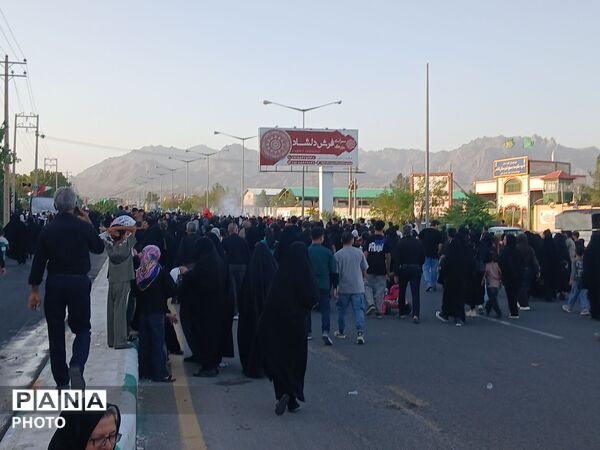 قدم هایی در راه سیدالشهدا