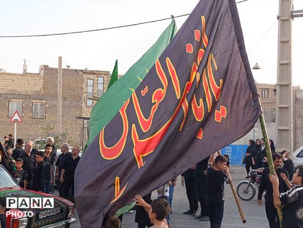 زمزمه‌ های سوگ در کوچه‌های خشتی؛ وقتی نخل چاه‌ ملکی به یاد حسین (ع) برمی‌خیزد