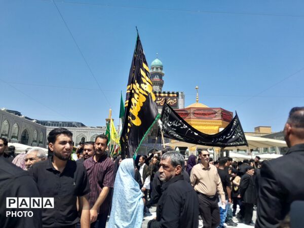 از کوچه تا حرم؛ هجومِ جمعیتِ عاشق در مسیرِ ردپای معصومین