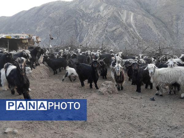  سرزمین عشق در دل سختی‌ها