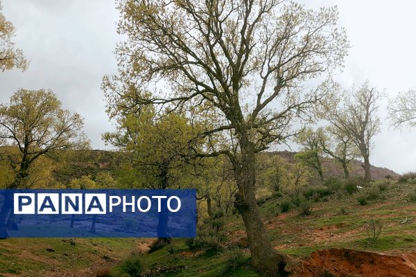 بهار، آغاز دوباره‌ی زندگی طبیعت 