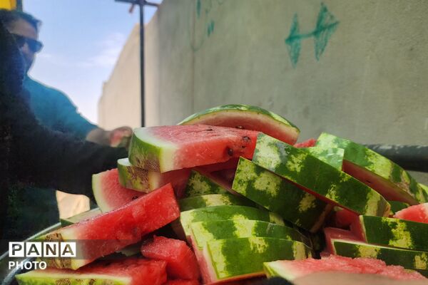 عاشورایی دیگر در سوگ سیدالشهدا