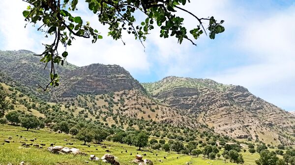 مسیر قارون تا قلعه مدرسه در واپسین لحظه‌های بهار
