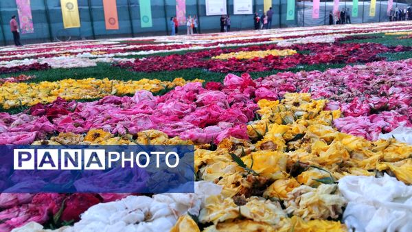 هشتمین فرش سرگل قاره کهن؛ جلوه‌گاه هنر و اصالت در محلات