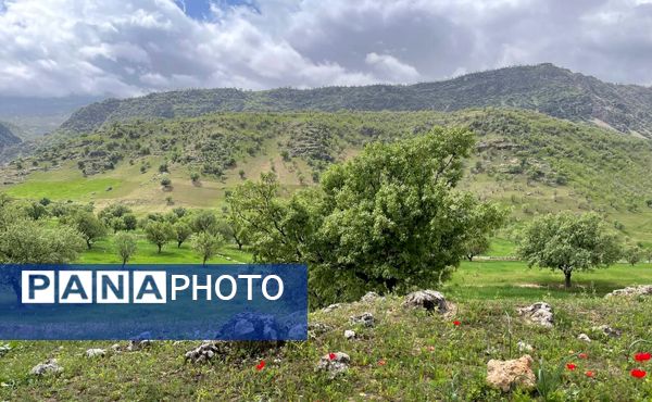 طبیعت روستای بارز، طبیعتی زیبا در دل استان چهارمحال‌وبختیاری 