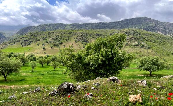 طبیعت روستای بارز، طبیعتی زیبا در دل استان چهارمحال‌وبختیاری 