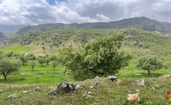 طبیعت روستای بارز، طبیعتی زیبا در دل استان چهارمحال‌وبختیاری 