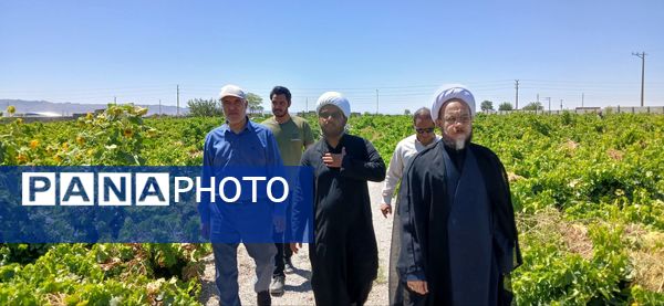 بازدید امام جمعه و رییس اداره کمیته امداد شهرستان خلیل‌آباد از کشاورزان 