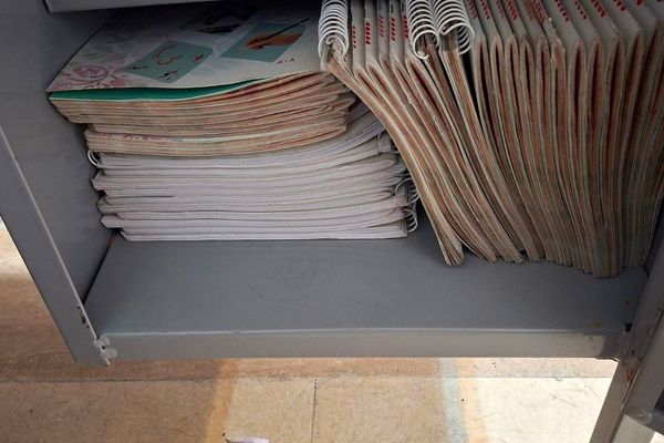 پویش کیف سبک-ذهن پربار