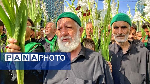 مجموعه عکس«علم از دست علمدار نیفتاده است هنوز»