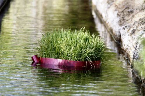 سیزده به در، روزی برای هم آوایی با طبیعت