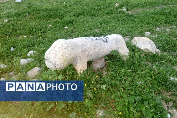 قبرستانی تاریخی و سرسبز به قدمت چند صد ساله در فارس