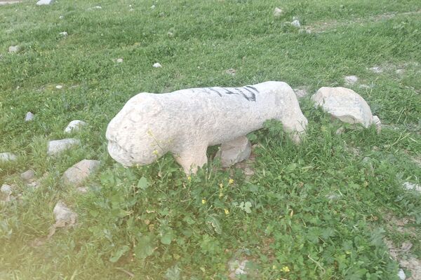 قبرستانی تاریخی و سرسبز به قدمت چند صد ساله در فارس