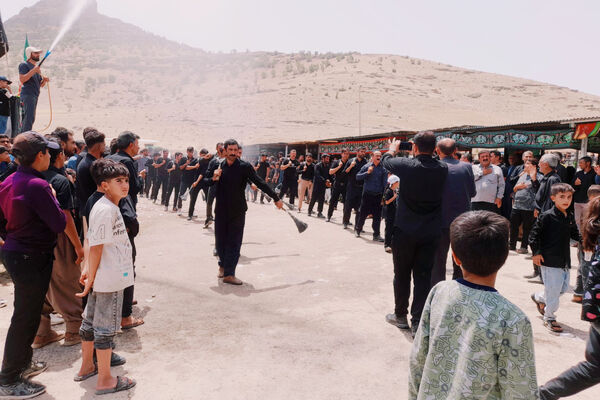 امامزادگان میزبان عزاداران محرم 